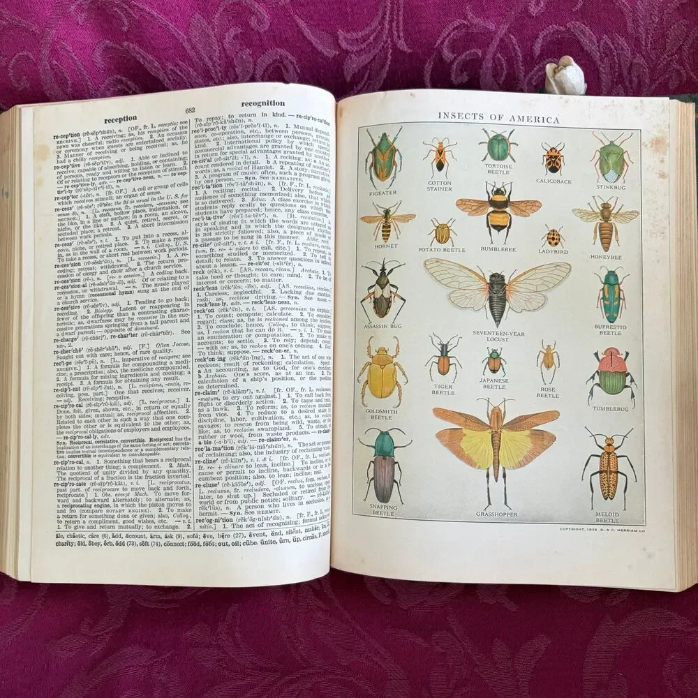 1956 Webster's Students Dictionary, Vintage Dictionary, American Book Company